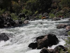 A group of rafters celebrating after a rapid